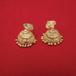 Dukhsan Overseas Earrings – Designer Collection 04